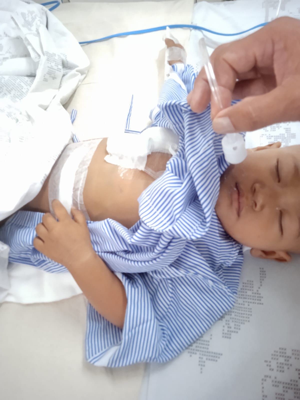 NABAPARNA ROY - Image 4