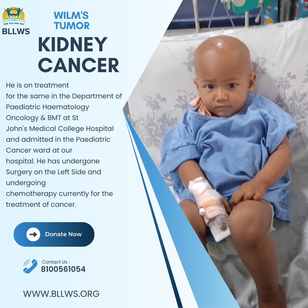 NABAPARNA ROY - Image 1