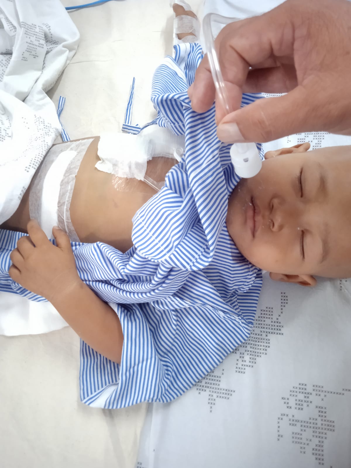 NABAPARNA ROY - Image 3